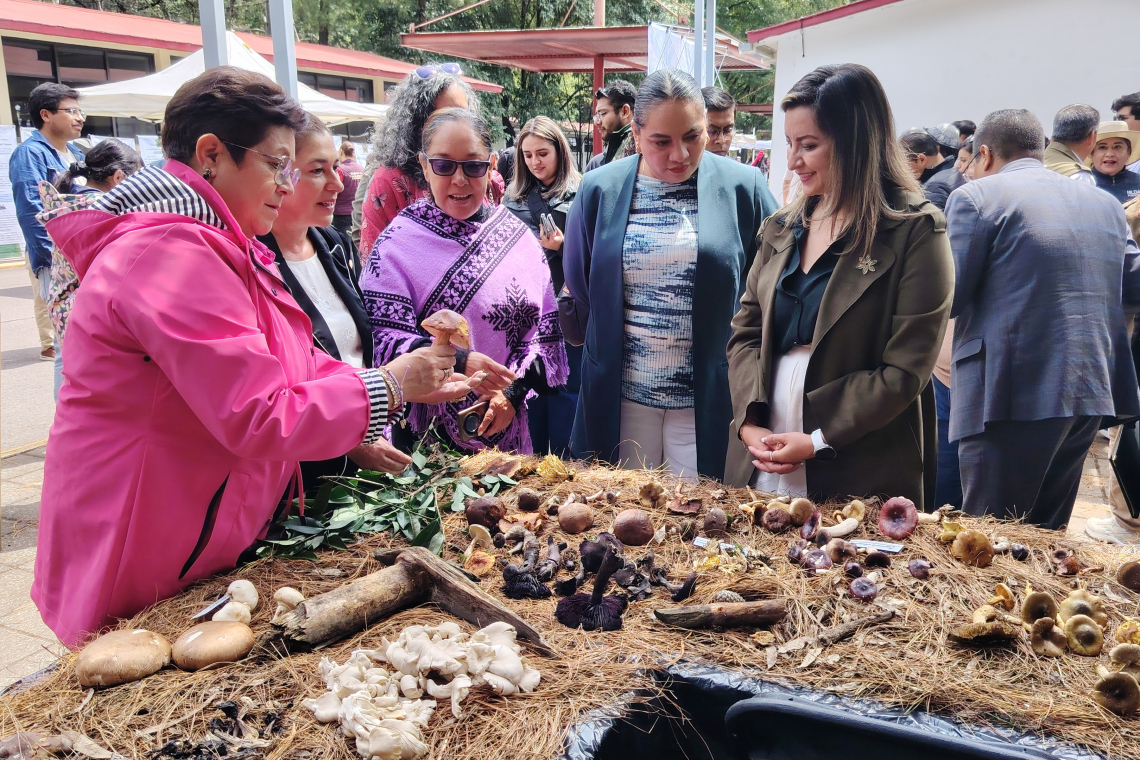 UAEMéx y Gobierno del Estado de México fortalecen la divulgación científica con exposiciones sobre hongos y biodiversidad