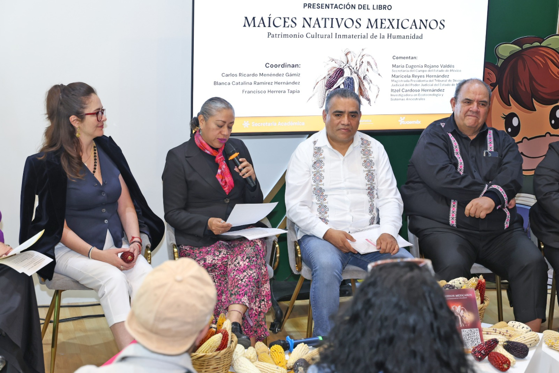 UAEMéx vincula investigación y saberes  ancestrales para proteger el maíz nativo